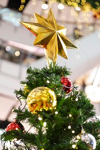 Gold Christmas star on top of a Christmas tree