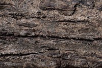 Stone surface textured background