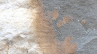 Beige rock textured surface background