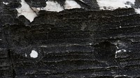 Seashore rock surface texture background