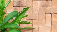 Vintage brick wall with green bird of paradise leaves background