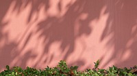 Painted brick wall with green bush in natural light background