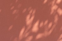 Shadow of leaves on an orange wall