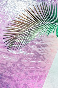Abstract pink water texture in a swimming pool with a palm leaf