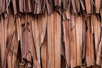 Dried leaves of the Nipa palm textured background