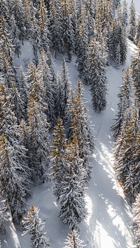 Winter iPhone wallpaper background, snowy forest