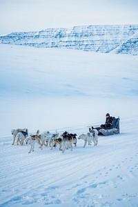 A young boy is teaching his dogs whilst dog Sledding through the glacial valley on the small island of Disko, off the West coast of Greenland. Taken on 8/3/2020