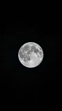 Full moon in the clear night sky