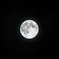 Full moon in the clear night sky