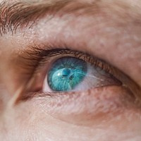 Human blue eye macro shot