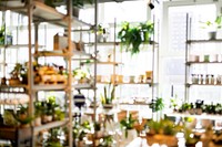 Blurred plant shop with morning sunlight