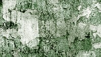 Cracked green paint textured wallpaper banner background