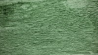 Green coarse weathered wood texture background