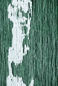 Old green paint wood texture