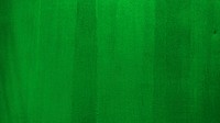 Blank green painted wall textured banner background