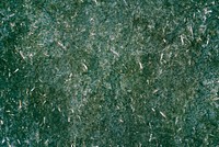 Grunge dark green textured wallpaper background image