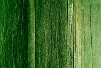 Design space green wooden textured wallpaper