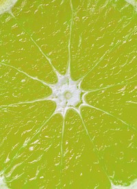 Closeup of green citrus lime textured background
