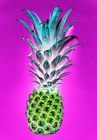 Aerial view of pineapple in negative filter pink background