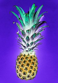 Aerial view of pineapple in negative filter blue background