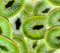 Close up of green kiwi fruit slices