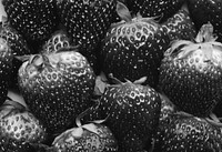 Black and white macro of yummy strawberries background
