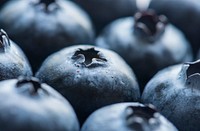 Macro shot of blueberry background