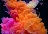 Abstract orange and pink color drop to the water