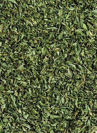 Closeup of tea leaf