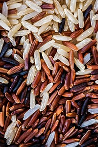 Closeup of mixed rice