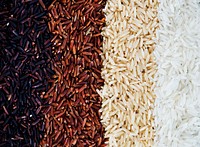 Closeup of mixed rice