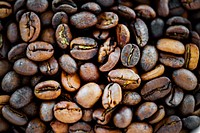 Closeup of coffee bean