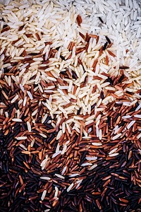 Close up of mixed rice