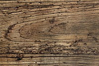 Close up of an old rustic plank