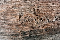 Close up of a wooden plank