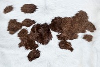 White cow hide with brown patches background