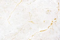 Close up of a white marble textured wall