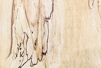 Close up of a wooden textured background vector