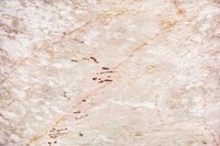 Pink and white marble textured wall