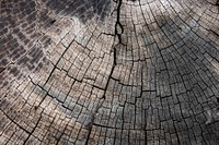 Grunge wooden log layers textured background