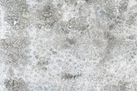 Grunge gray cement textured background