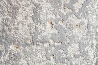 Roughly gray cement textured background