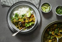 Plated vegetable curry with rice