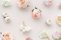 Pastel flowers on pink  background
