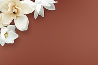 White magnolia pattern background