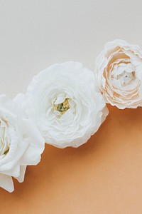 White peonies on two tone background