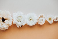 White flowers patterned two tone background
