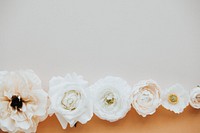 White flowers patterned two tone background