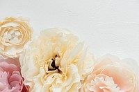 Pastel peony and ranunculus flowers on white background
