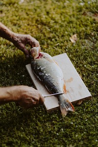 Fisherman holding fish on a cutting board